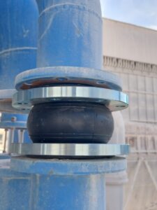 WhatsApp Image 2024-09-02 at 2.31.38 PM